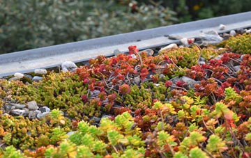 the cost of Zennor green roof installation