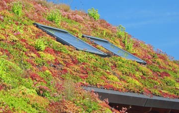 Zennor living roof systems